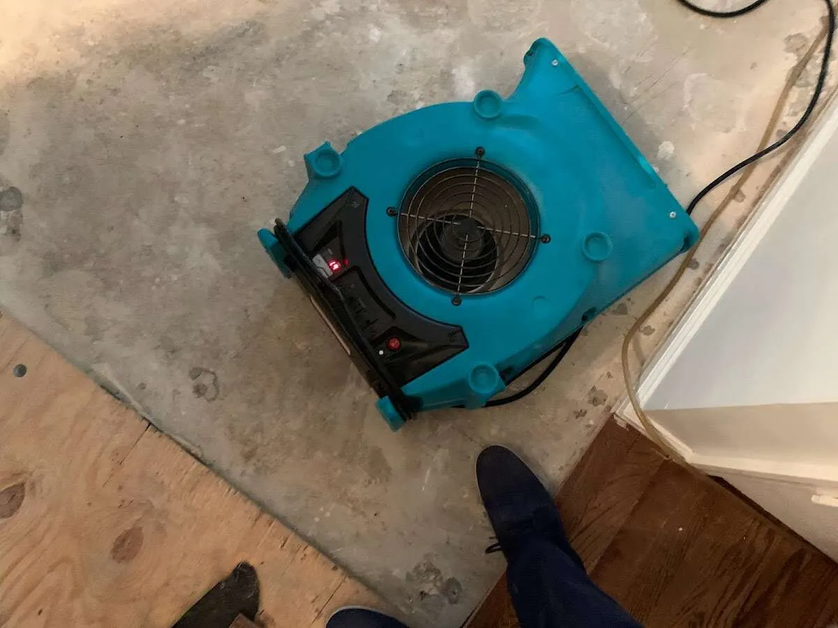 Air mover drying subfloor during Commercial Water Damage Restoration in Corcoran